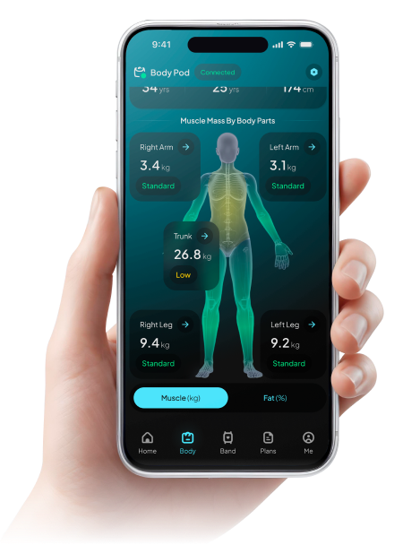 Phone data visualization